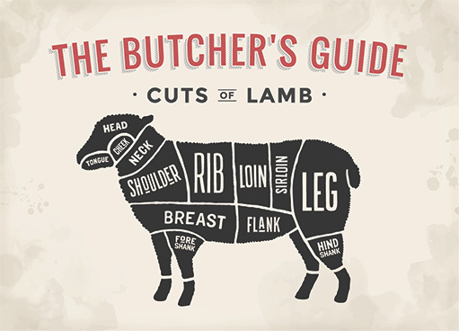 Lamb Guide
